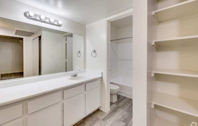 a bathroom with a sink and a mirror and a toilet