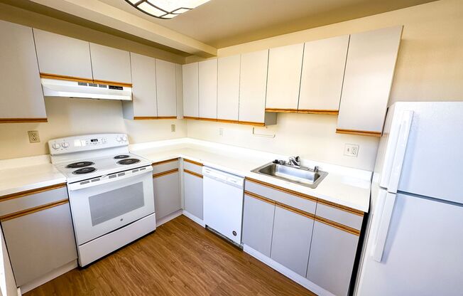 Studio, 1 bath, 460 sqft, $1,395, Unit 413