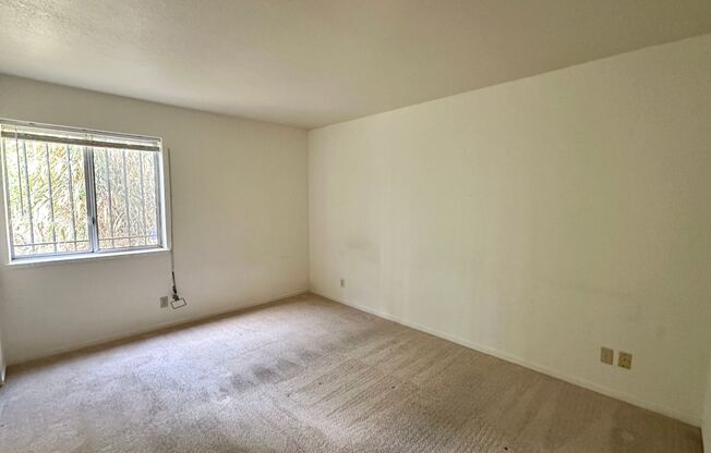 2 beds, 1 bath, $2,425