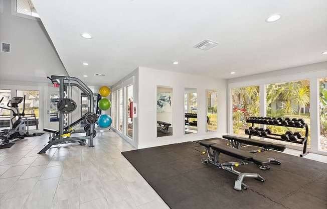 Community Fitness Center with Equipment at Seven Lakes at Carrollwood Apartments in Tampa, FL.