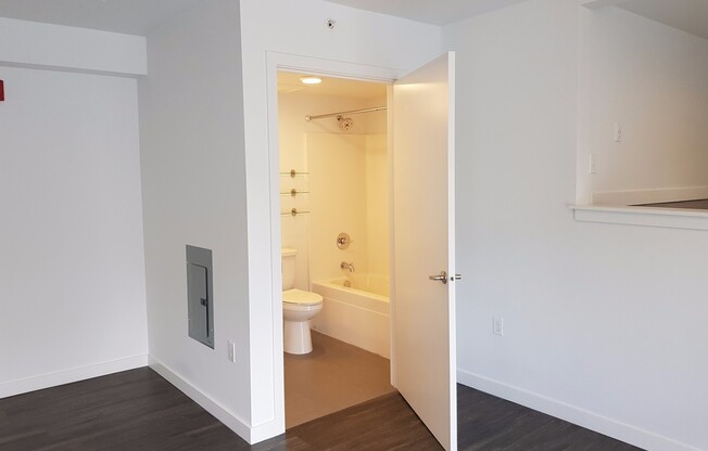 Studio, 1 bath, 325 sqft, $1,405, Unit 203