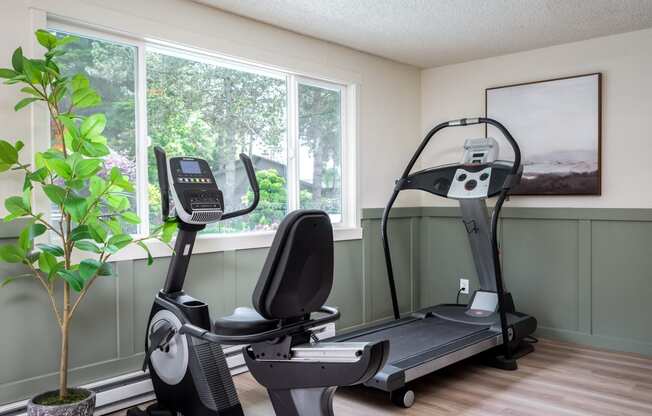 fitness room with treadmill and large window