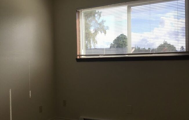 1 bed, 1 bath, 500 sqft, $1,100, Unit 08-B