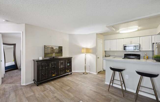 Spacious Living Area With Wood-Style Flooring