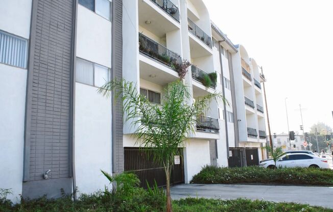 1 bed, 1 bath, 800 sqft, $2,200, Unit 206