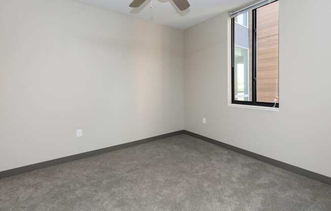 Bright, vacant bedroom with neutral walls and carpet flooring.