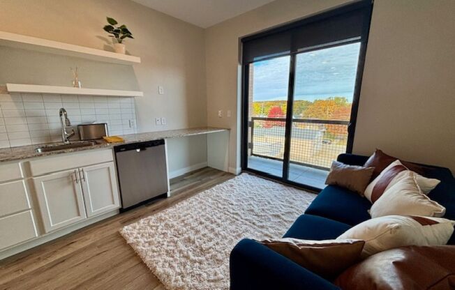 Studio, 1 bath, 325 sqft, $1,100, Unit 221