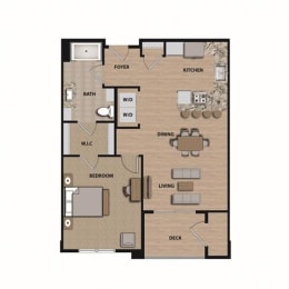 1 bed, 1 bath, 733 sqft, $2,486