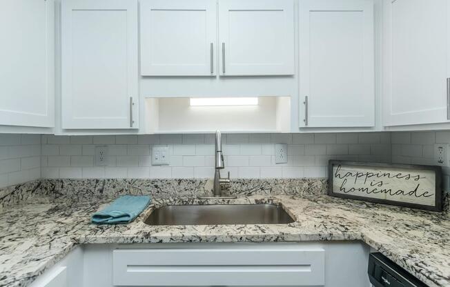 NICE COUNTER TOPS WITH STAINLESS STEEL SINK