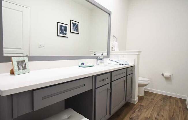 NoA on McNeil Townhomes + Flats - Austin, TX - modern baths