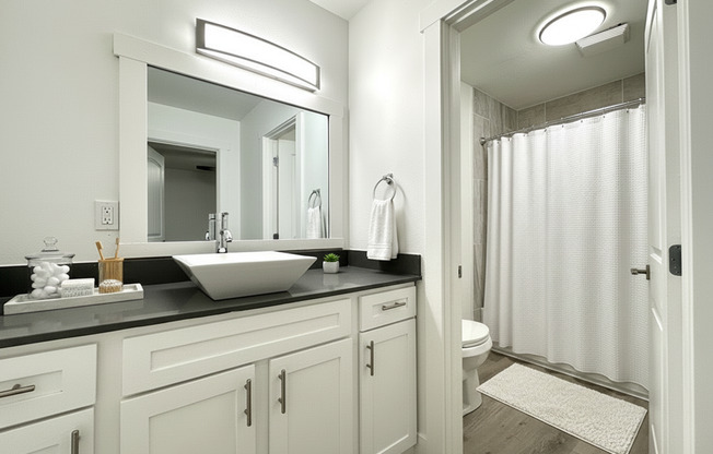 1 bed, 1 bath, 550 sqft, $1,295, Unit 5