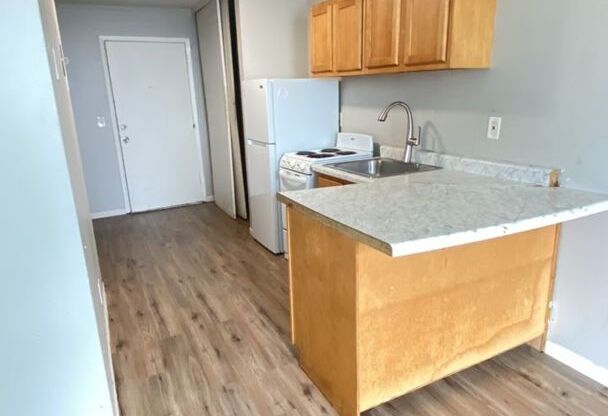 Studio, 1 bath, $1,000, Unit 2747113