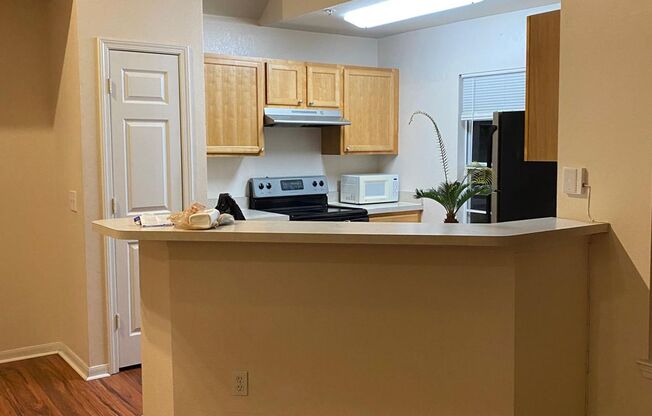 1 bedroom 1 bath condo