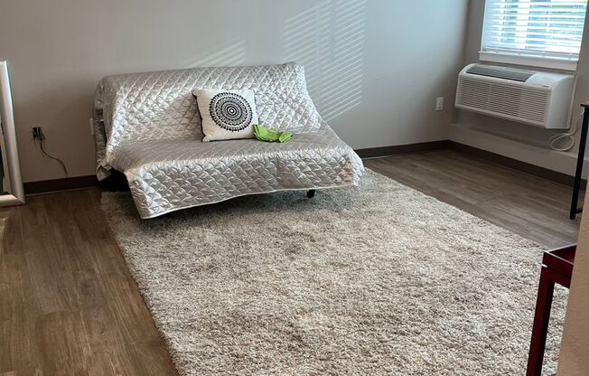 Studio, 1 bath, 416 sqft, $1,225, Unit 102