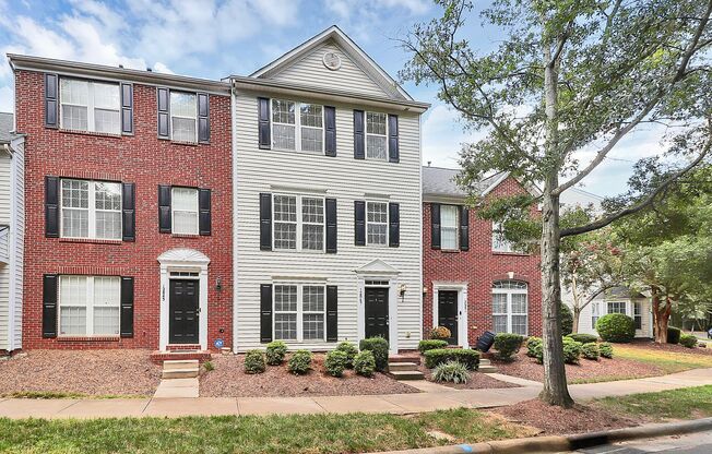 12847 Bullock Greenway Blvd Ballantyne area