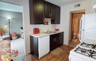 large kitchen cabinets in Rochester MN