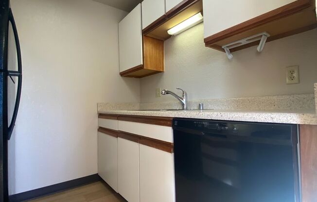 Studio, 1 bath, 538 sqft, $1,425, Unit 405