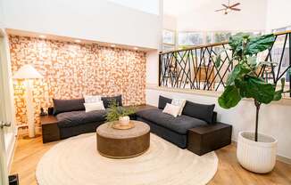 A living room with a black couch, a round coffee table, and a potted plant.