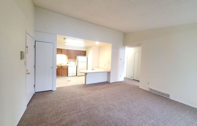 2 beds, 1 bath, $1,295