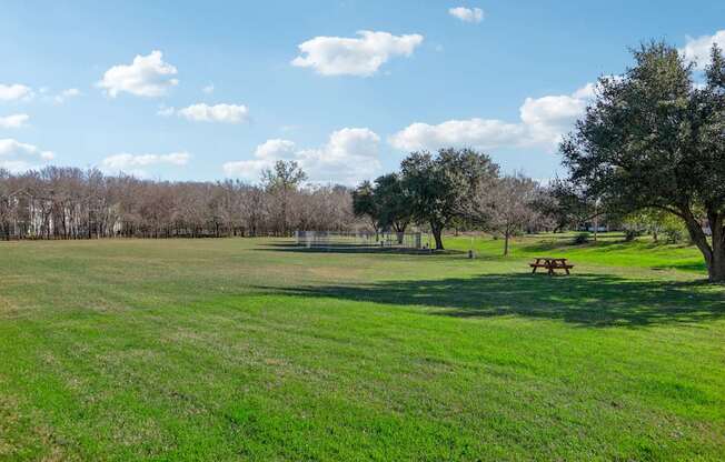 A picnic table sits in the middle of a grassy field.