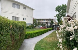 1 bed, 1 bath, $2,095, Unit 386206