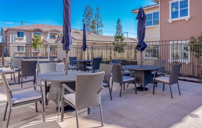 resident bbq and picnic area at Turtle Creek apartments