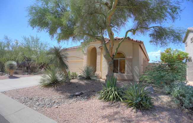 Morning Dove / Furnished rental