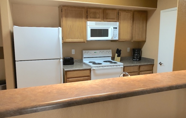 1 bed, 1 bath, $1,600