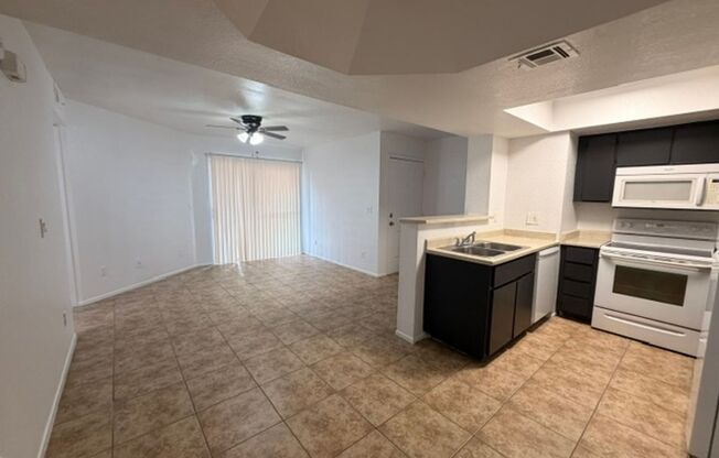 1 bed, 1 bath, 500 sqft, $995, Unit 117
