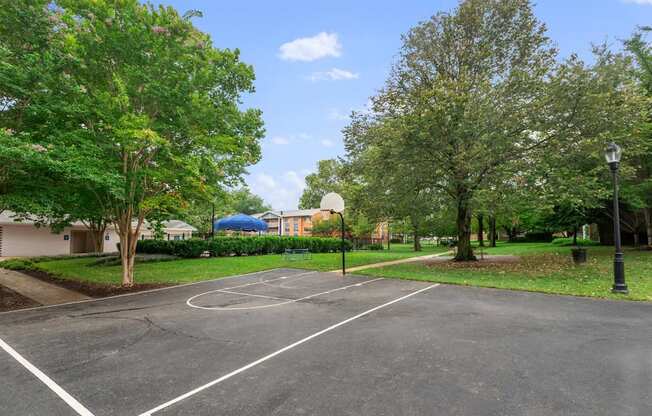 A basketball court surrounded by trees and a street light.