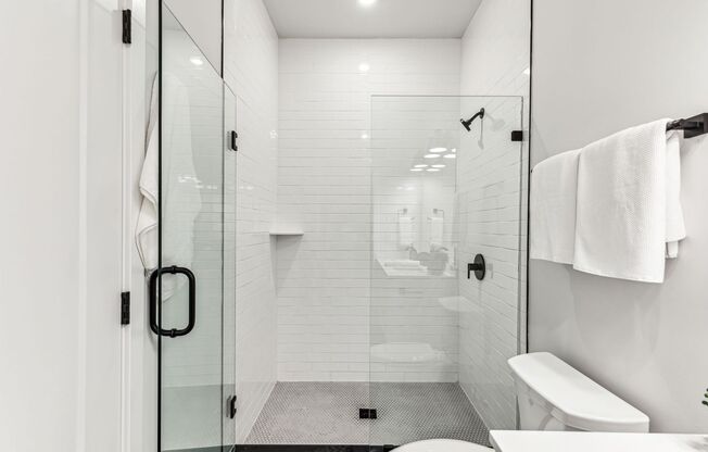 1 bed, 1 bath, 675 sqft, $1,675, Unit 202