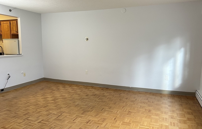 Studio, 1 bath, 445 sqft, $1,650, Unit 1F