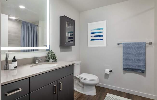 A bathroom with a white toilet, a sink, a mirror, and a cabinet.