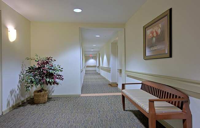 Welcome home hallway affordable senior apartments
