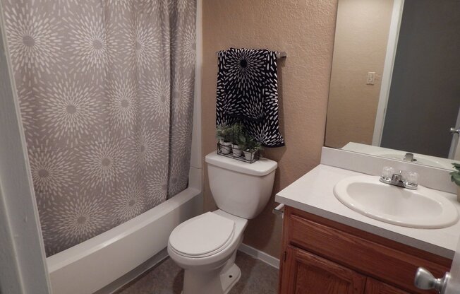 2 beds, 2 baths, 900 sqft, $1,059, Unit 504