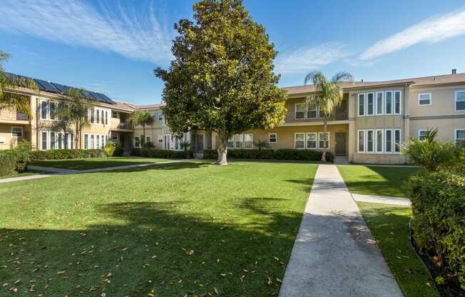 Apartments in Los Angeles Tree