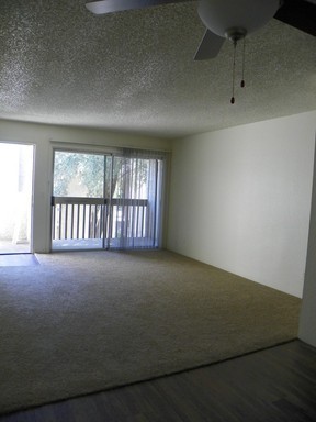 2 beds, 2 baths, 950 sqft, $1,300, Unit 302