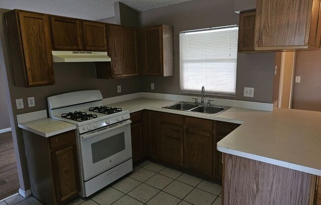 NICE!   LARGE 4 BEDROOM / 2 BATH / 2 CAR GARAGE (KISSIMMEE - SOUTH)