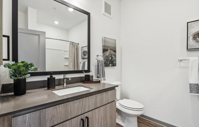 a bathroom with a sink and a toilet and a mirror at Stella, San Tan Valley, AZ 85143