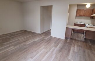 1 bed, 1 bath, $595