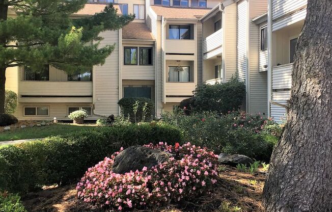 Remodeled condo available for July!