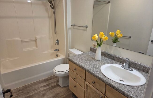 Studio, 1 bath, 370 sqft, $1,190, Unit 502