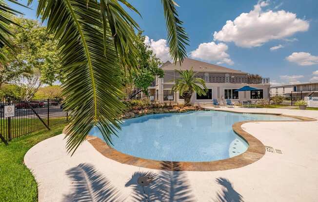 A palm tree is in the foreground of a swimming pool.