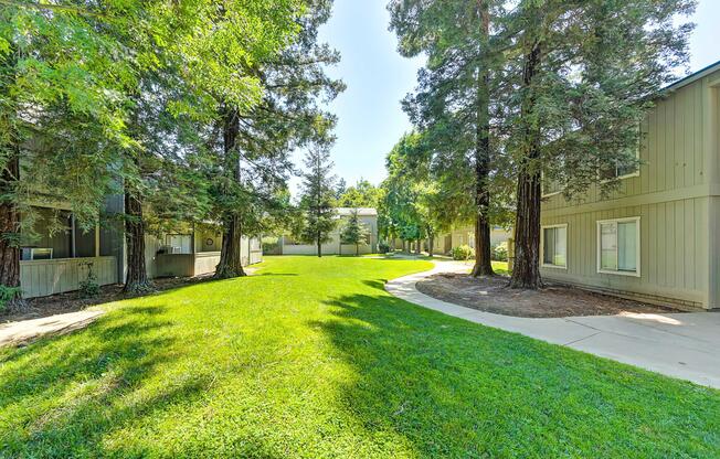 Green Lawn with Sidewalk.jpg