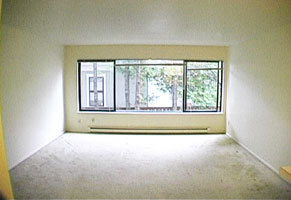 Studio, 1 bath, 446 sqft, $1,299, Unit 205