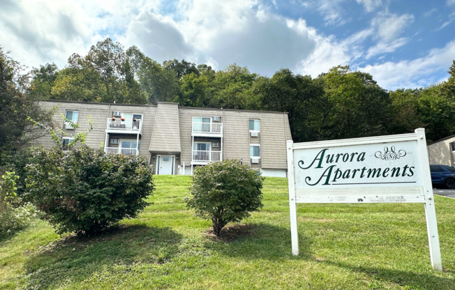 Newly Renovated Apartments