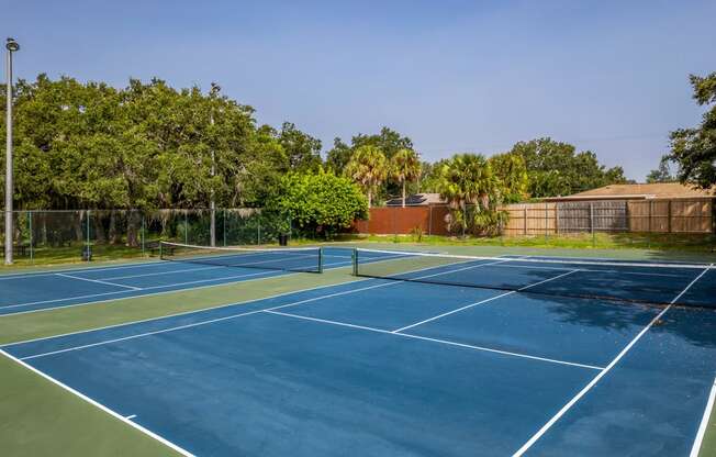 two tennis courts with trees in the background on a sunny day