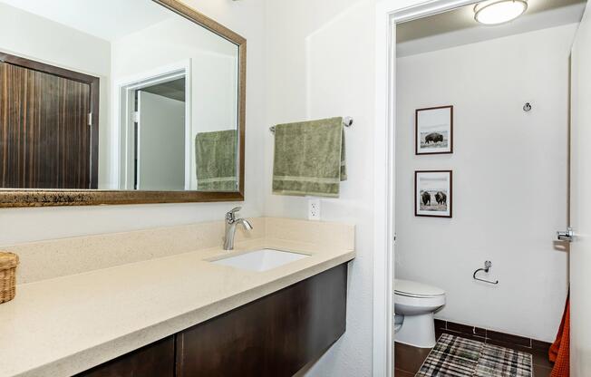 1 bed, 1 bath, 443 sqft, $1,009