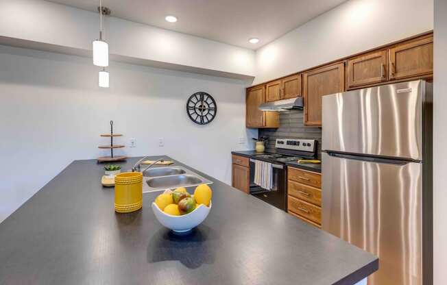 our apartments showcase a modern kitchen