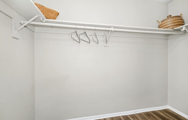 Walk-in Closet with Shelving